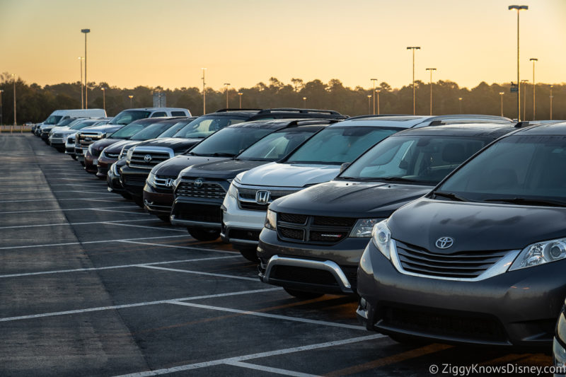 Cars in the Animal Kingdom Parking Lot