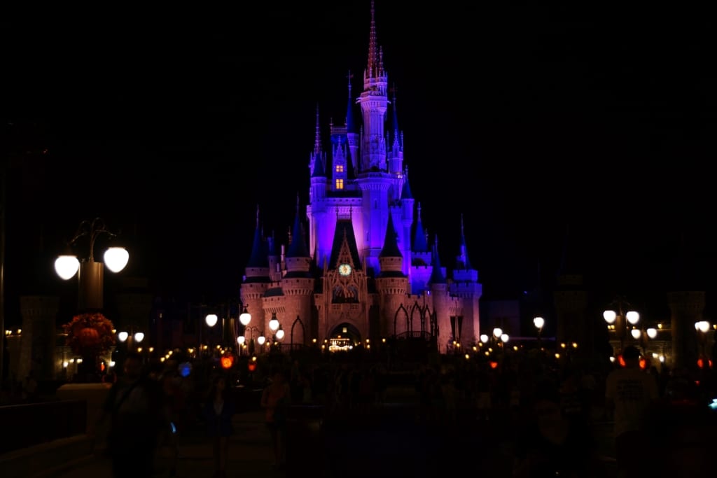 disney park hours magic kingdom nov 2