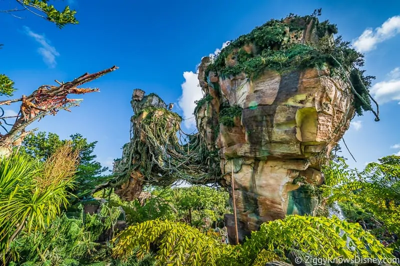 Disney's Pandora: The World of Avatar in Animal Kingdom