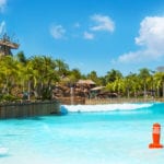 Miss Adventure Falls Opening March 12