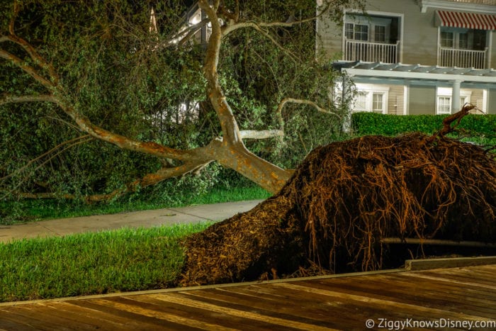Hurricane Ian damage in Walt Disney World