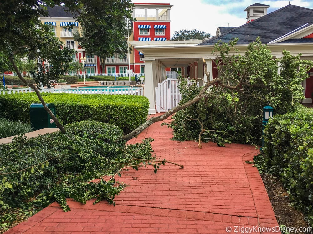 Disney World Hurricanes & Storms FAQs, Closures & Preparations