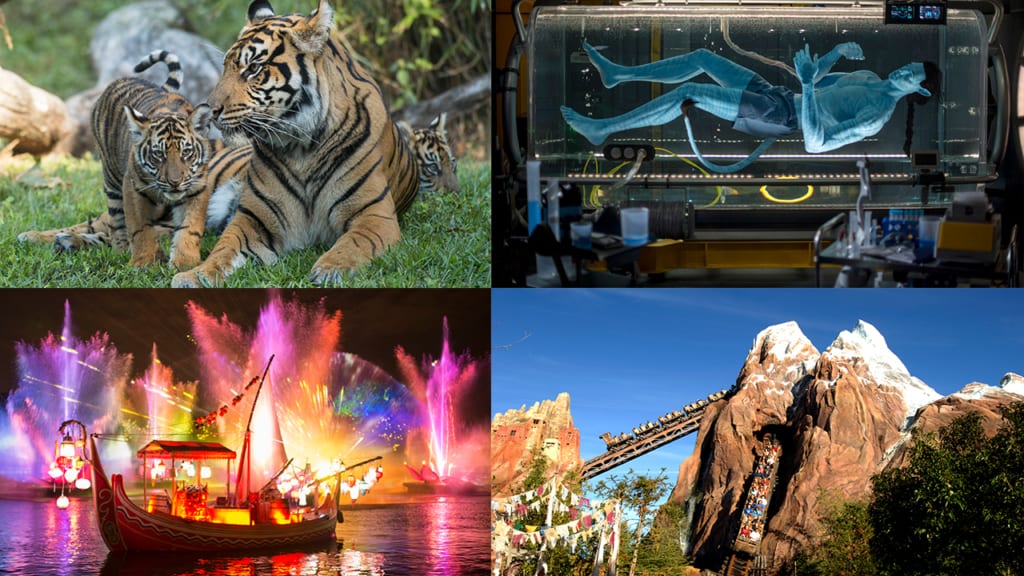 Disney Parks Live Streaming Event for Disney’s Animal Kingdom