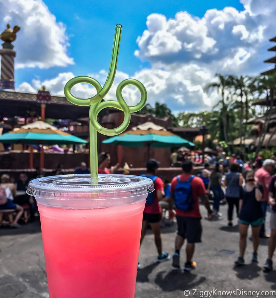 Walt Disney Company to eliminate plastic straws and more by 2019 - ABC News