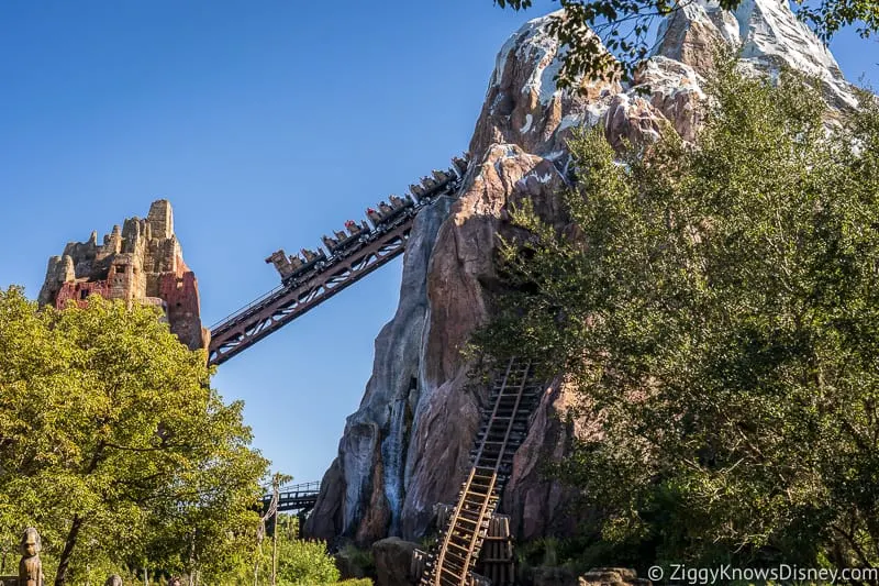 roller coaster train going up the hill Expedition Everest