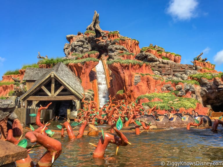 splash mountain figurines