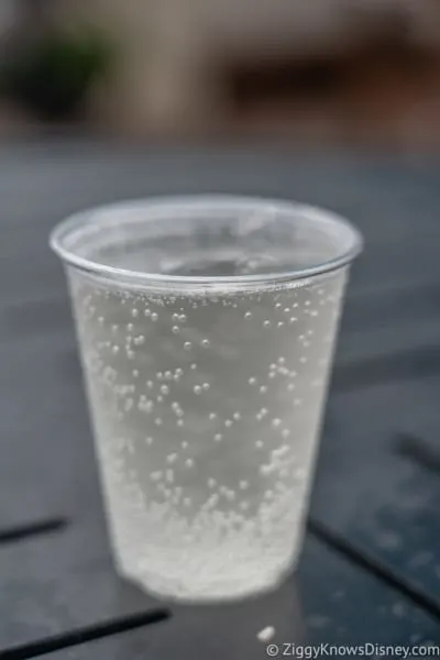 Active Eats Review 2019 Epcot Food and Wine Festival hard sparkling water