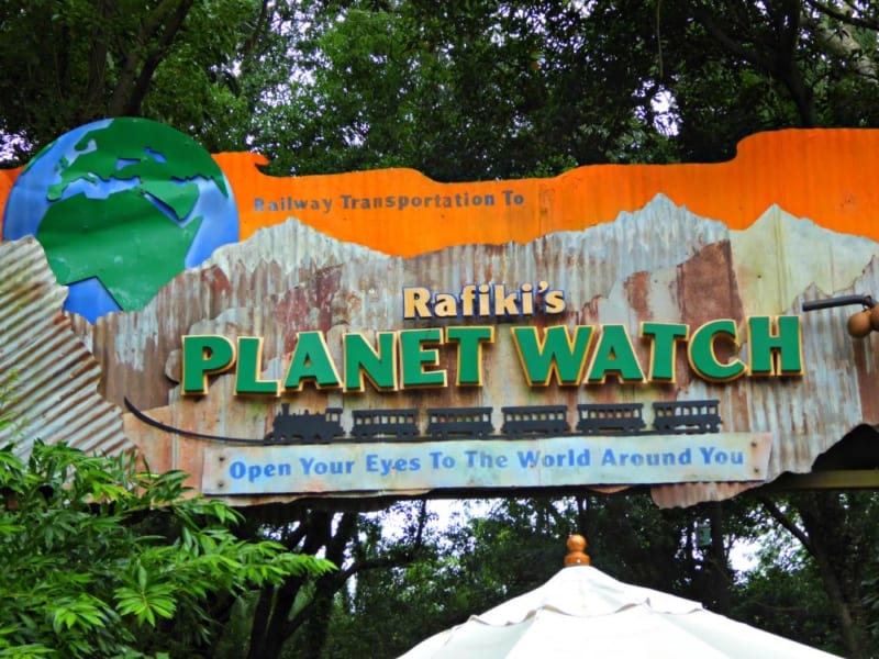 Animal Kingdom's Rafiki's Planet Watch Closing Permanently in October