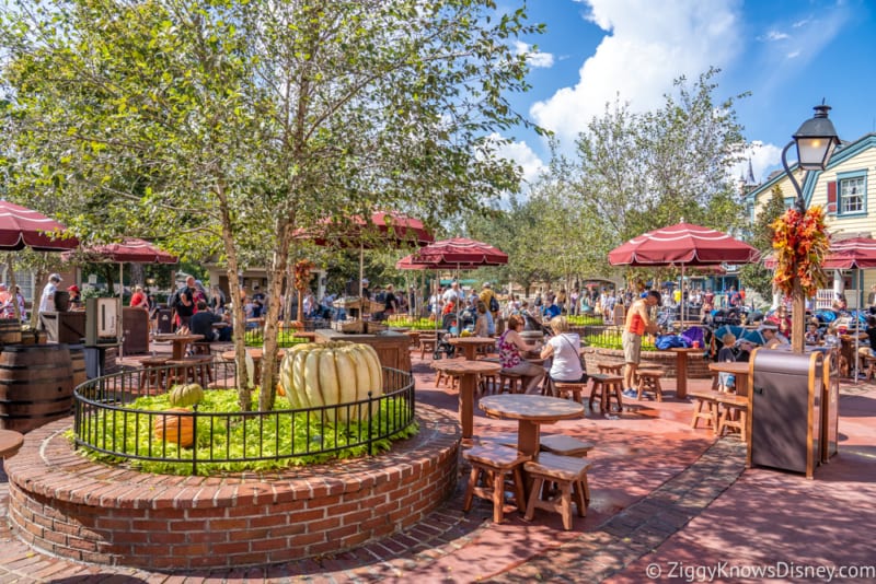 review candied bacon chicken skewers liberty square market Disneys magic kingdom