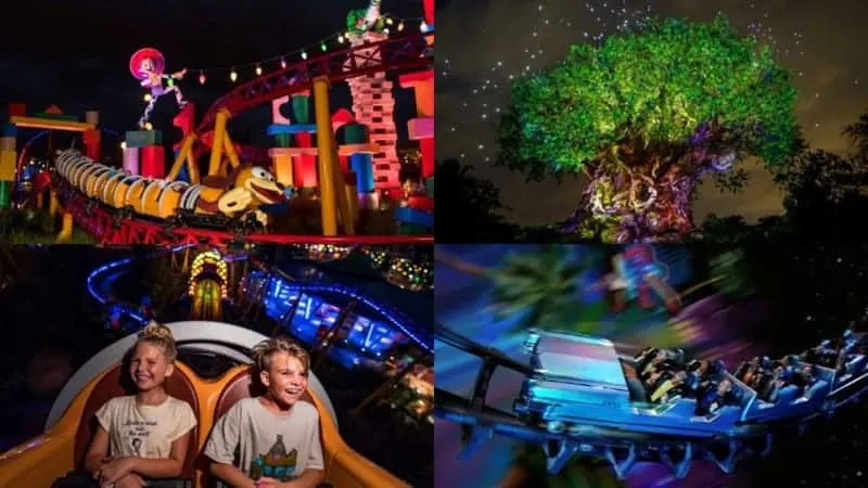 Disney After Hours Events Coming Hollywood Studios and Animal Kingdom
