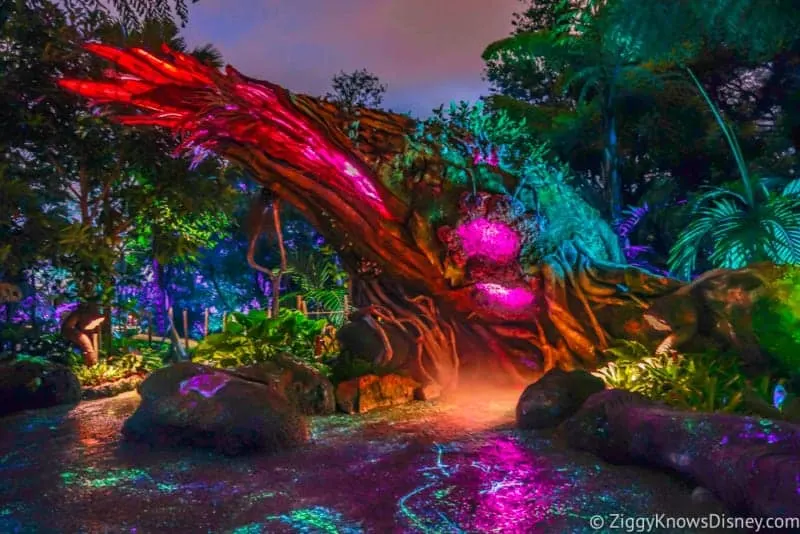 Disney After Hours Events Coming Hollywood Studios and Animal Kingdom pandora