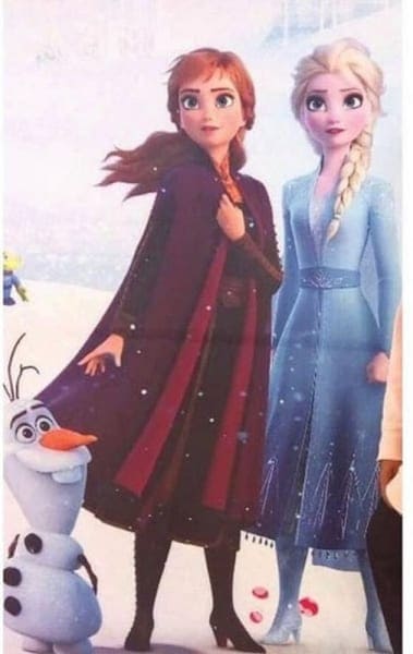 Second Leaked Image for Frozen 2 and Plot Description