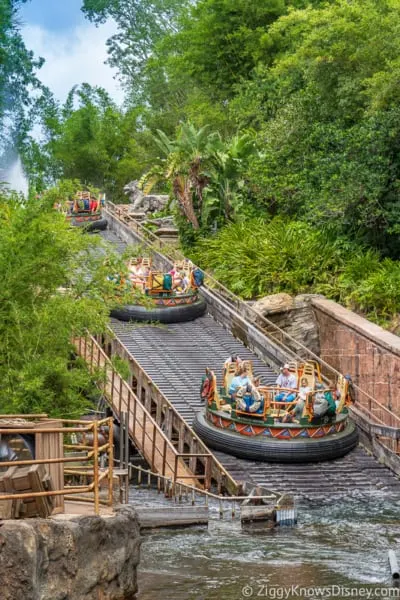 Rafts in the Kali River Rapids ride in Disney's Animal Kingdom