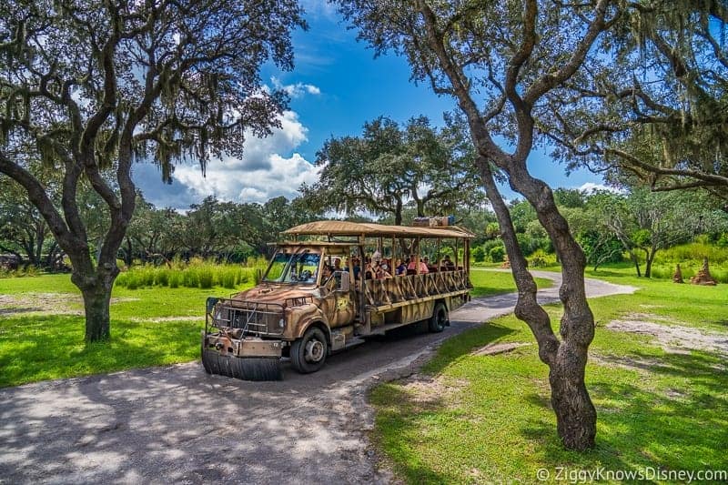 Disney Animal Kingdom Safari