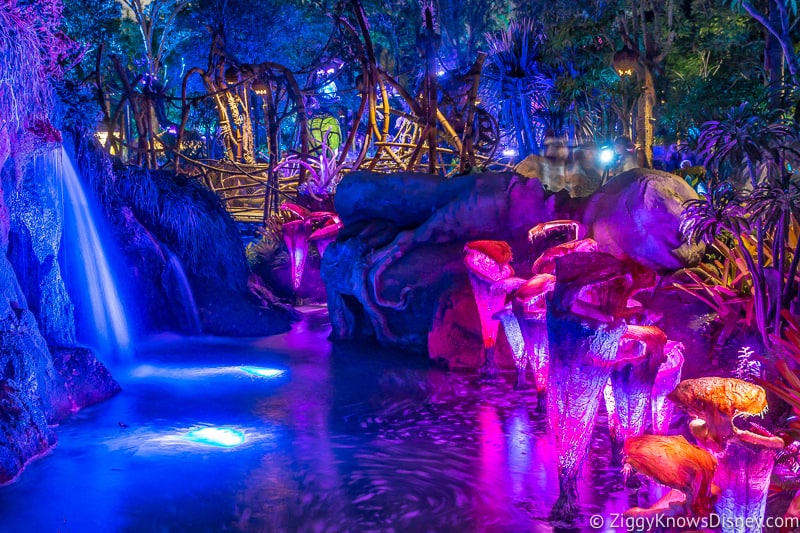 2024 Disney After Hours Events Dates, Prices & Details