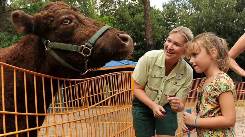 Rafiki's Planet Watch reopening animal kingdom petting zoo