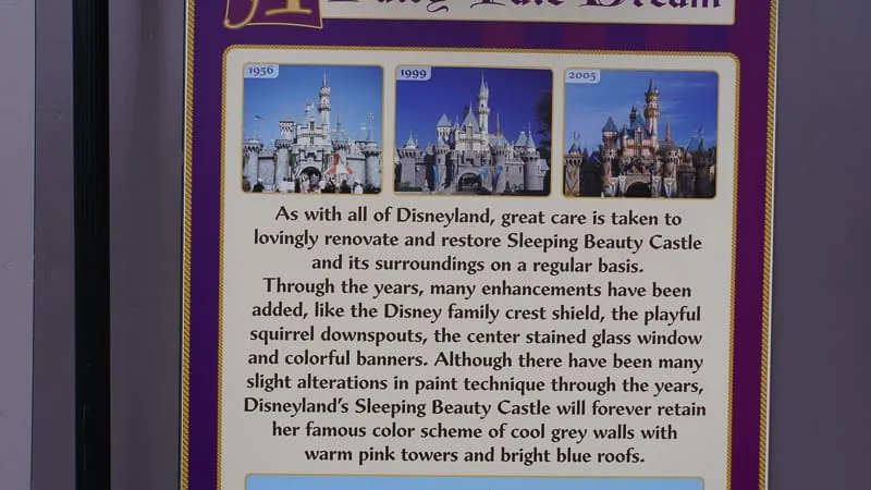 Sleeping Beauty Castle in Disneyland board