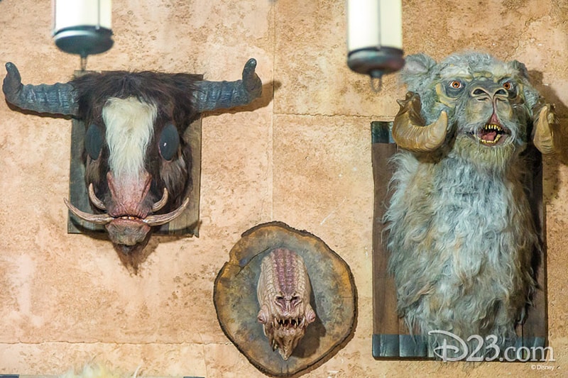 Dok Ondar's Artifacts D23 Star Wars Galaxy's Edge Photos Theming