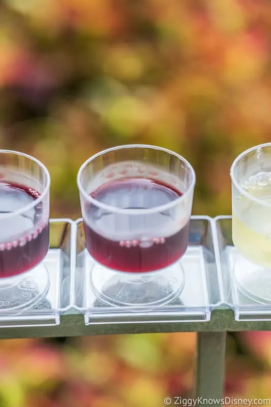 Wine Flight 2 Appleseed Orchard Epcot Food and Wine Festival 2019