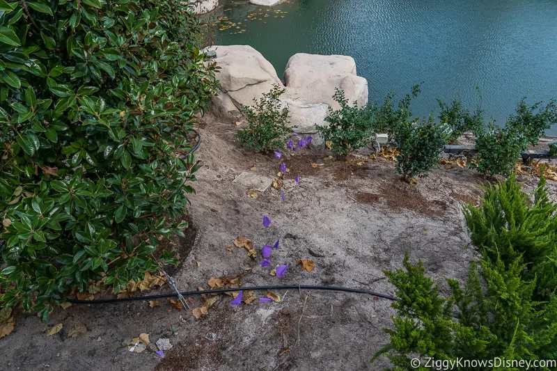 Cinderella Castle Moat Filled in Magic Kingdom flower beds
