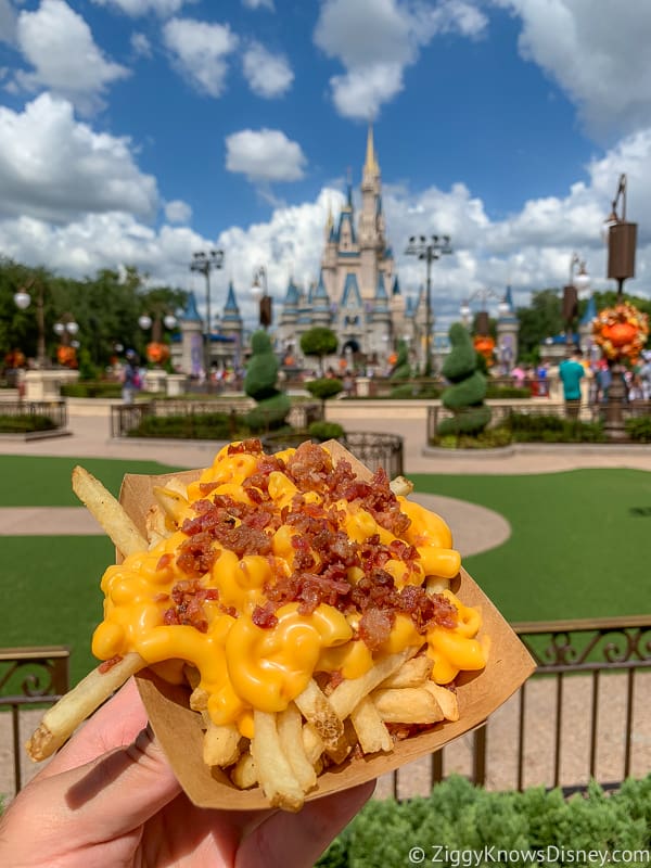 Bacon Cheese Fries from Casey's Corner Best Snacks at Magic Kingdom