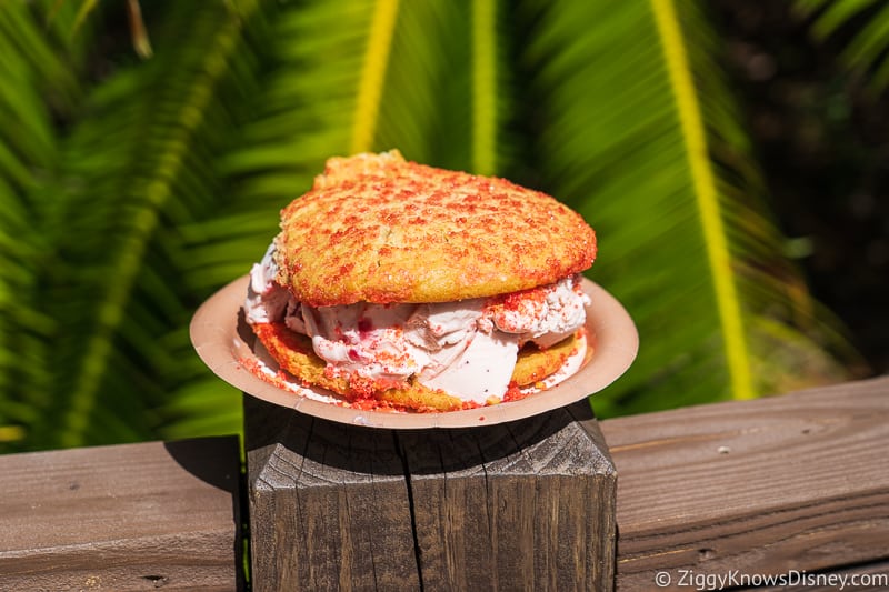 Ice Cream Sandwich Dino-bites Best Snacks at Animal Kingdom