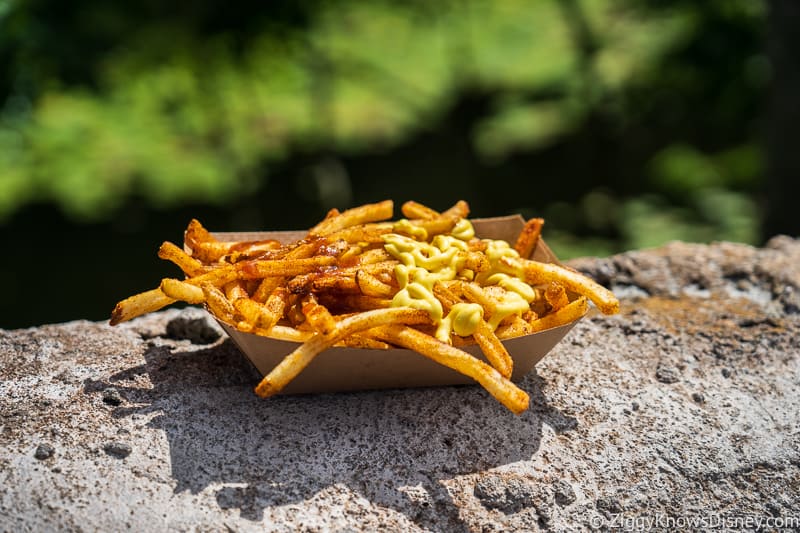 Mr Kamal's Seasoned Fries Best Snacks at Animal Kingdom