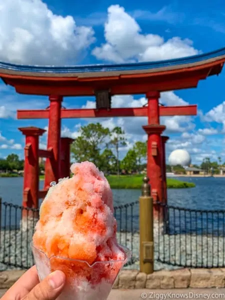 Kakigori Shaved Ice Japan pavilion Best Snacks at Epcot