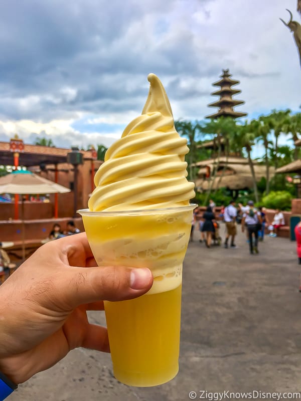 Dole Whip Float Best Snacks at Magic Kingdom