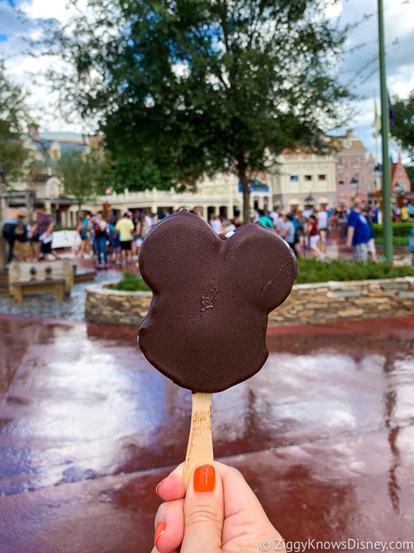 Mickey's Premium Ice Cream Bar Best Snacks at Magic Kingdom