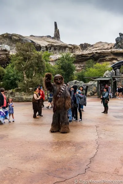 Chewbacca waving at guests in Star Wars: Galaxy's Edge