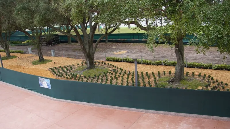 Epcot Entrance Construction Updates January 2020 landscaping at West side bag check