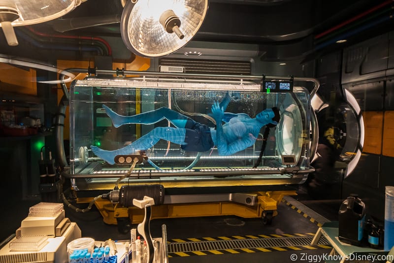 blue Na'vi in tank Flight of Passage queue