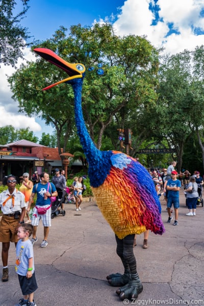 Kevin from Up in Disney's Animal Kingdom