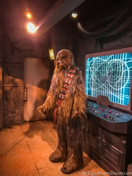 Hollywood Studios characters Chewbacca