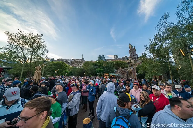 Hollywood Studios crowds for rope drop