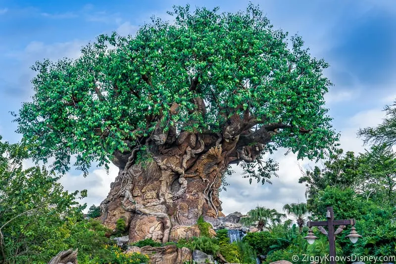 Animal Kingdom projects that might get budget cuts