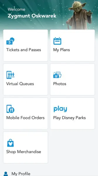 Disney virtual queues