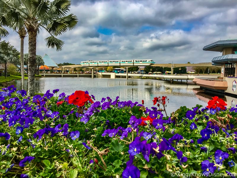 Disney World Closed Epcot