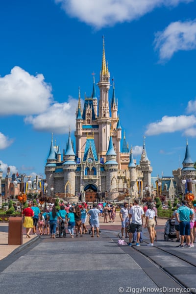 Disney World Closure Info