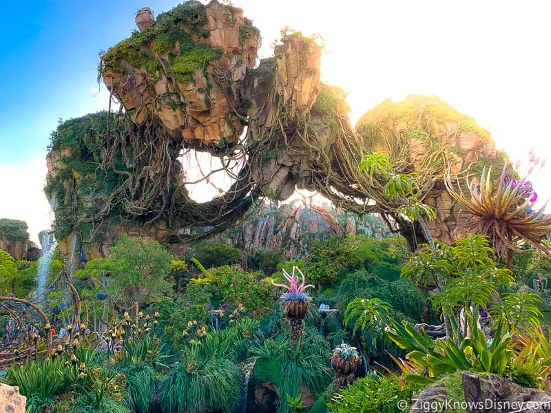when is the Best Time to Visit Disney World?