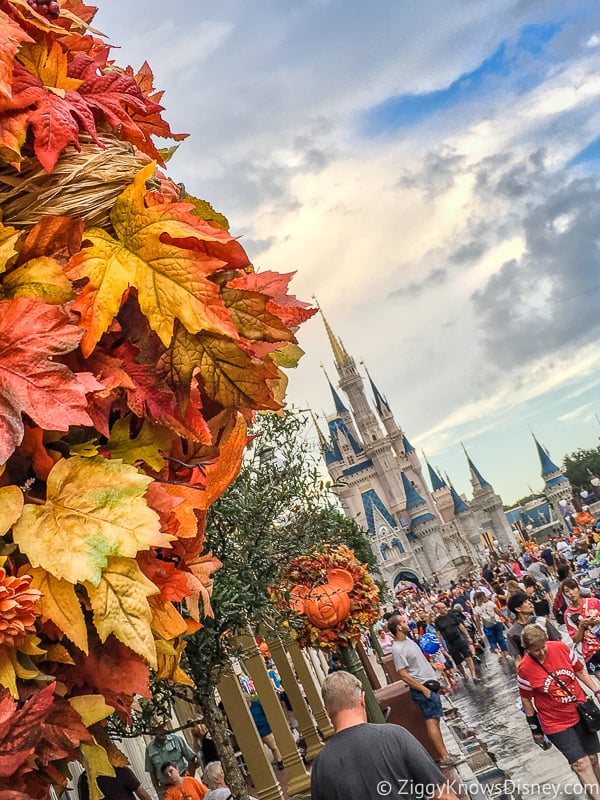 Festivals in Disney World