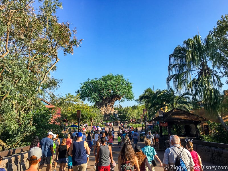 Disney World Crowds in Animal Kingdom