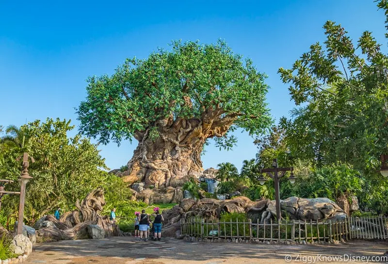 2024 & 2025 Disney World Crowd Calendar Avoiding the Crowds