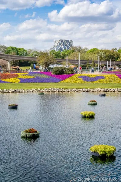 water and flowers near The Land Epcot Flower and Garden Festival