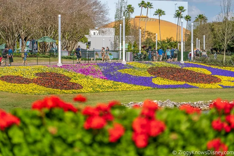 Mickey Mouse flower bed and Wonders of Life Epcot Flower and Garden Festival