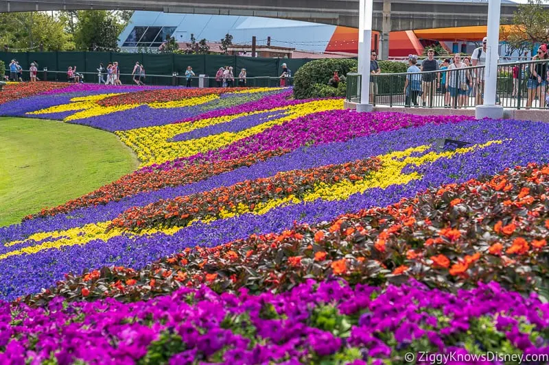 multi-colored flower beds Epcot Flower and Garden Festival