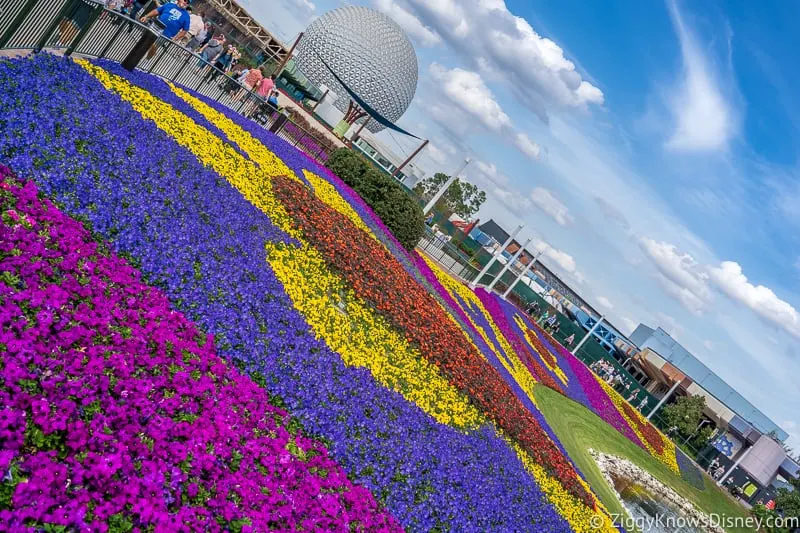 flower beds with Spaceship Earth in the background Epcot