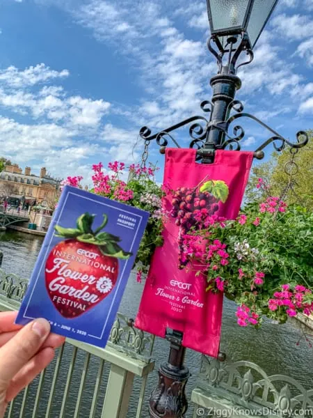 Epcot Flower and Garden Festival guide and pink flowers