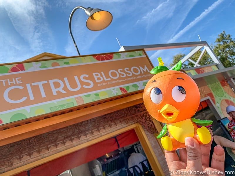 Orange Bird Sipper from The Citrus Blossom Epcot